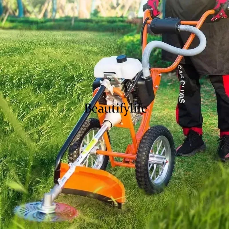 Mesin pemotong rumput dorong L - Power Tools Hand Tools ulasan dan harga