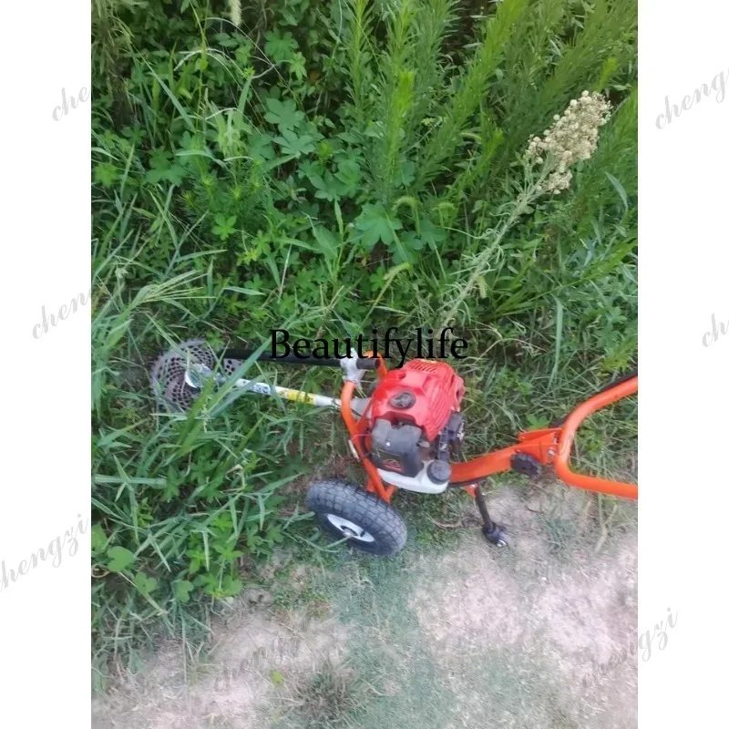 Mesin pemotong rumput dorong L - Power Tools Hand Tools ulasan dan harga