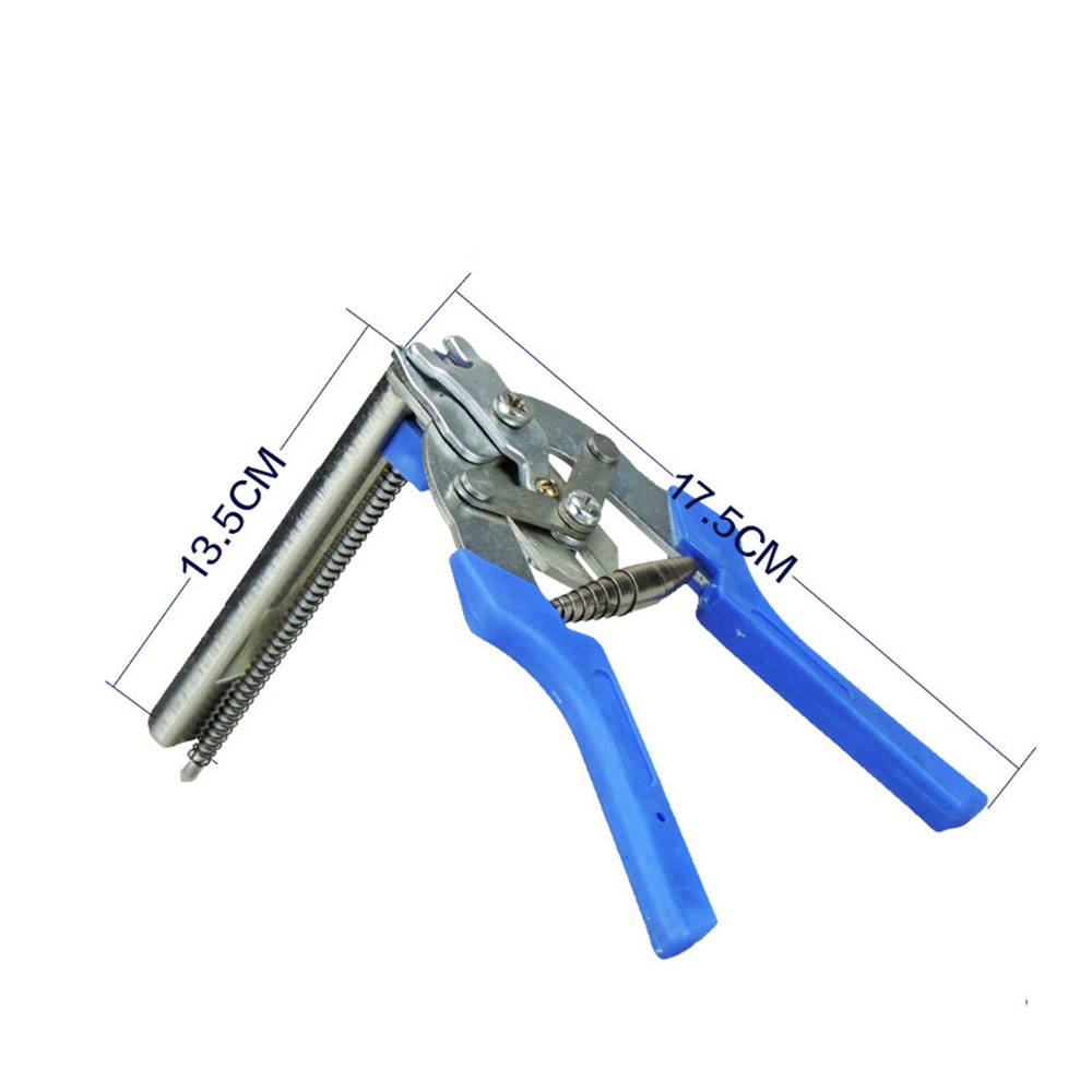 Hog Tang cincin/600 buah M kli - Power Tools You Must Have ulasan dan harga